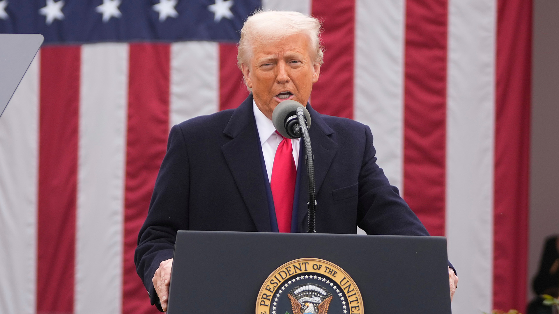 গাজায় খাদ্য কেন্দ্র স্থাপনের ঘোষণা ট্রাম্পের